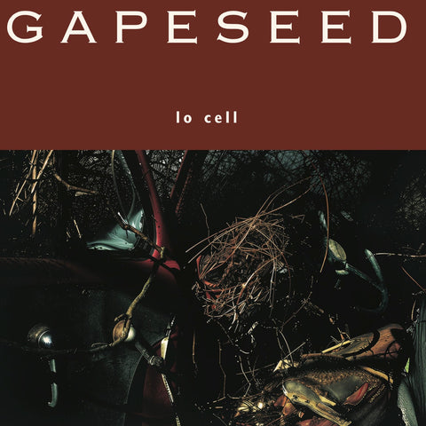 Gapeseed 