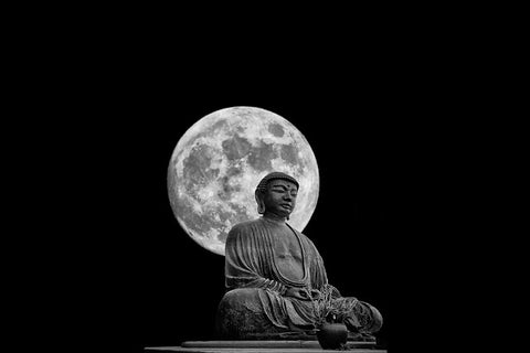 Budda on the Moon